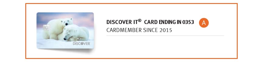 Account information section of a Discover<sup><sup>®</sup></sup> credit card statement.